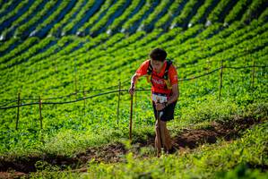 BIB: 2013
                            <button type="button" onclick="openModal(19160474)" class="btn btn-primary btn-sm float-right btn-popup" data-toggle="modal" data-target=".modal-high-quality">
                        <i class="fas fa-shopping-cart"></i> Add to Cart
                    </button>
                                            <button type="button" onclick="isThisMe(19160474, true)" class="btn btn-success btn-sm float-right btn-popup btn-isme hidden" data-toggle="tooltip" data-placement="bottom" title="นี่คือรูปของคุณใช่ไหม คลิกที่นี่เพื่อเอาเข้าอัลบั้ม">
                        <i class="fas fa-plus"></i> Add to album
                    </button>
                    <button type="button" onclick="isThisMe(19160474, false)" class="btn btn-warning btn-sm float-right btn-popup btn-isnotme hidden">
                        <i class="fas fa-ban"></i> Remove from album
                    </button>